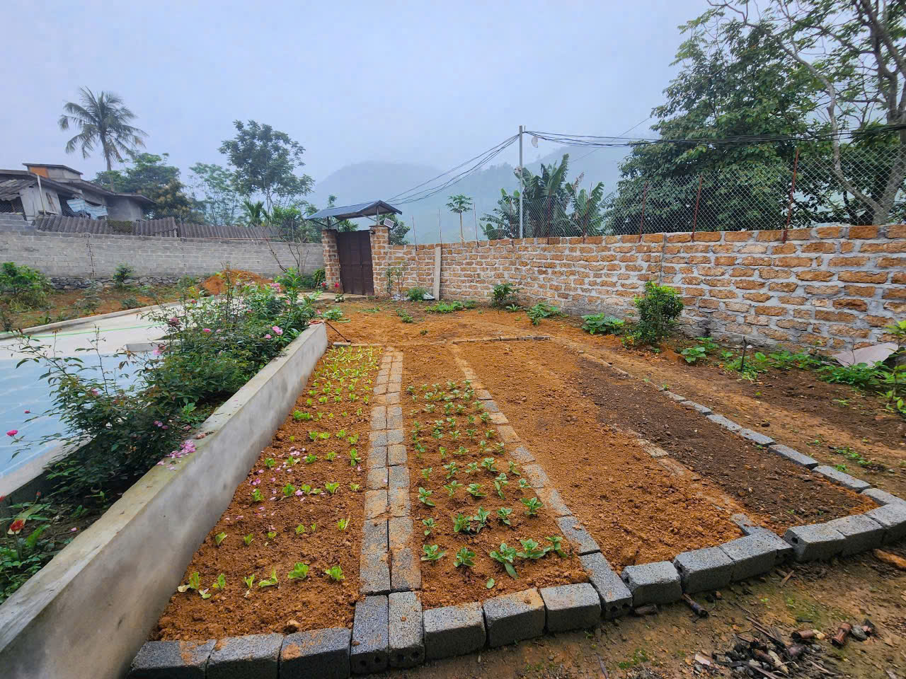 Bán đất tặng khuôn viên nhà vườn mới tinh 700M có 400M đất ở_Cao Dương Lương Sơn_Hoà Bình_2,x tỷ - Ảnh 3